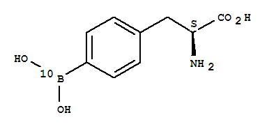 10 Obogateni L-4-boronofenilalanin, GMPBPA
