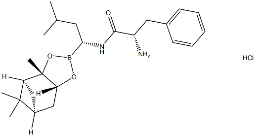 Intermediati Bortezomiba II