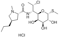 Klindamicin hidroklorid