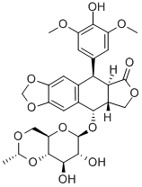 Etopozid