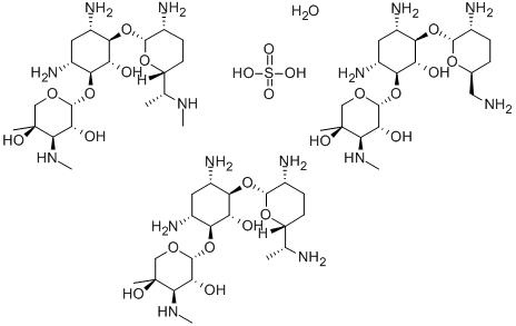 Gentamicin sulfat