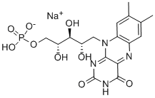 Riboflavin 5'-monofosfat natrijeva sol