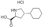 trans-4-cikloheksil-L-prolin hidroklorid